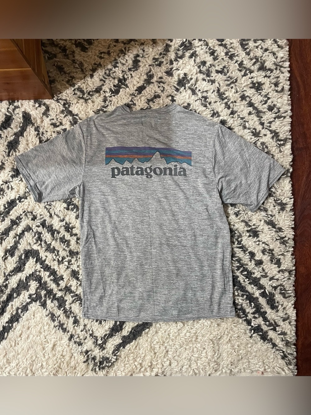 Patagonia Men's Capilene Cool Grey Logo T-Shirt - Heather Grey Mountain Graphic